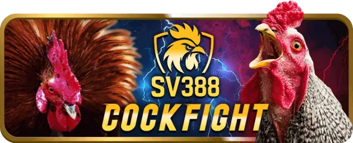 Nạp tiền qua ví điện tử Momo ZaloPay ViettelPay 39bet16